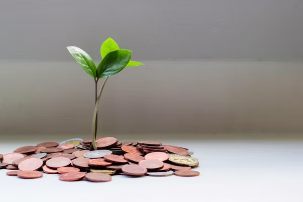 Savings and coins